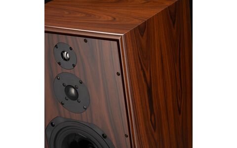 Kolumny Podstawkowe Harbeth SHL5plus XD Różane 