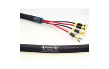 Purist Audio Design VENUSTAS DIAMOND 2 x 2,5m Kabel głośnikowy Bi-Wire Salon Poznań Wrocław