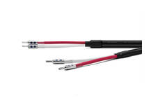 Oyaide ACROSS 3000 B / Y  2 x 2,5m Kabel głośnikowy Wtyki widełki Salon Poznań Wrocław