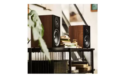 Kolumny Podstawkowe Argon Audio Forus 5 Orzech 