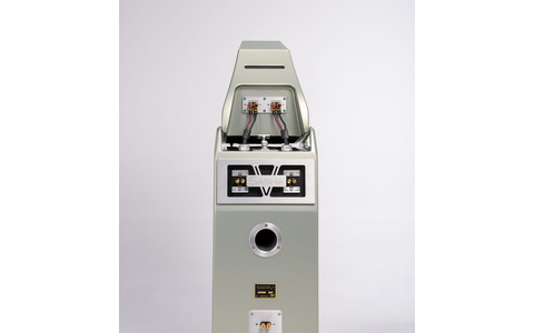 Kolumny Podłogowe Wilson Audio Sasha V Salon Poznań Wrocław silver rear