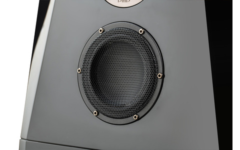 Kolumna Podłogowa Usher TD-20 mid