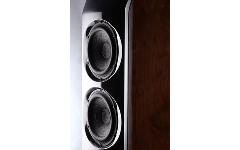 Kolumna Podłogowa Usher ML-802 speakers