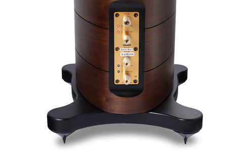 Kolumna Podłogowa Usher Mini One rear panel