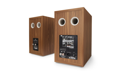 Kolumny Podstawkowe Triangle Borea BR03 Connect Dąb Salon Poznań Wrocław rear