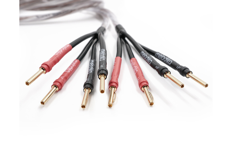 Kable Głośnikowe Bi-Amp 4,5m Melodika BSBA22545 Brown Sugar z Solid Grip Salon Poznań Wrocław 2