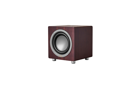 Audiovector QR SUB SE Orzech