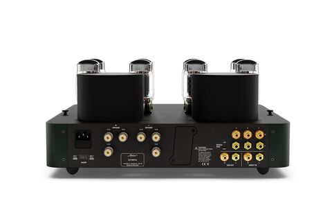 Fezz Audio Olympia EVO Evergreen Zielony Lampowy Wzmacniacz Stereo tył