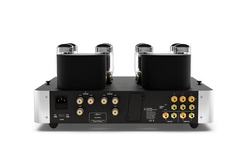 Fezz Audio Olympia EVO Moonlight Srebrny Lampowy Wzmacniacz Stereo tył