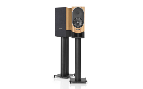 Kolumny Podstawkowe PMC Prophecy 1 Dąb