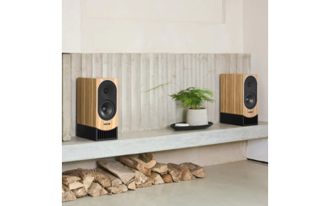 Kolumny Podstawkowe PMC Prophecy 1 Dąb