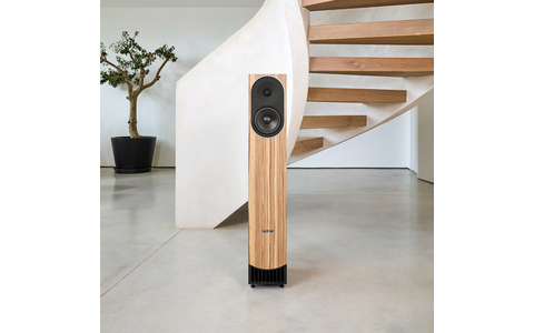 Kolumny Podłogowe PMC Prophecy 5 Dąb