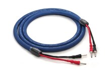 Cardas Clear Cygnus Speaker 2m Przewód Głośnikowy Salon Poznań Wrocław