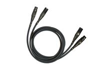 Cardas Iridium Interconnect XLR 1.0m Kabel XLR Salon Poznań Wrocław