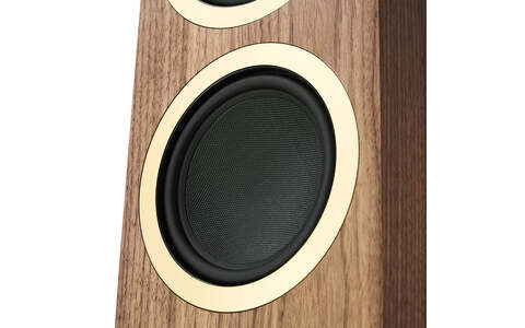 Aktywne Kolumny Podłogowe Argon Audio Forte A55 WiFi Orzech