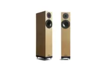 Spendor A2.2 Dąb Kolumny Podłogowe Salon Poznań Wrocław