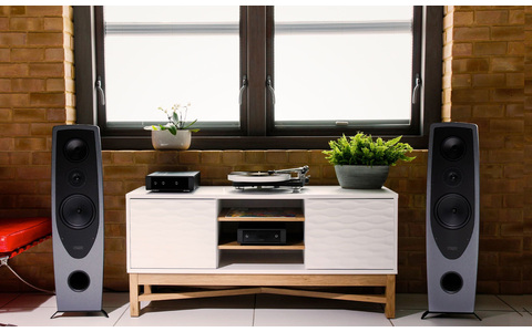 Kolumny Podłogowe Rega Aya