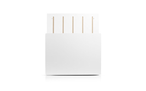 Subwoofer Waterfall Audio FLEX200