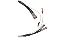 HiDiamond Phono Top Silver 1,0m Przewód Interkonekt Gramofonowy RCA Salon Poznań Wrocław