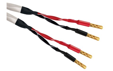 Zakonfekcjonowany Kabel Głośnikowy Wireworld Solstice 10 SOS 2,0m