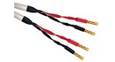 Zakonfekcjonowany Kabel Głośnikowy Wireworld Solstice 10 SOS 2,0m
